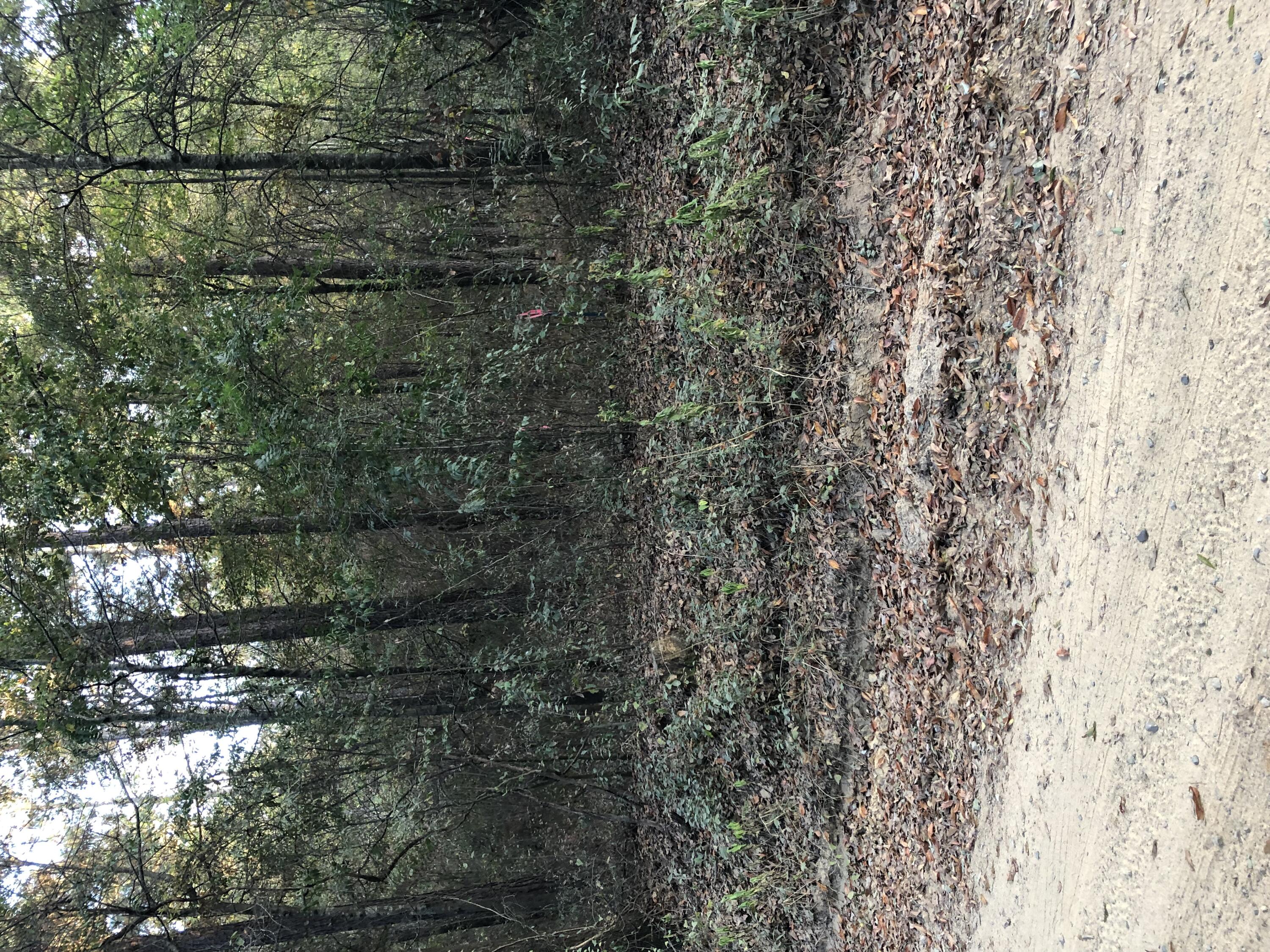 Main Photo
