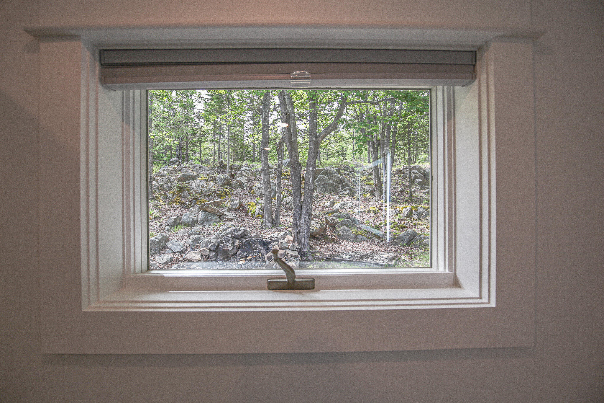 121 Tom Leighton Point Road Milbridge, ME 04658 - Photo 19 of 64 IMG_0381
