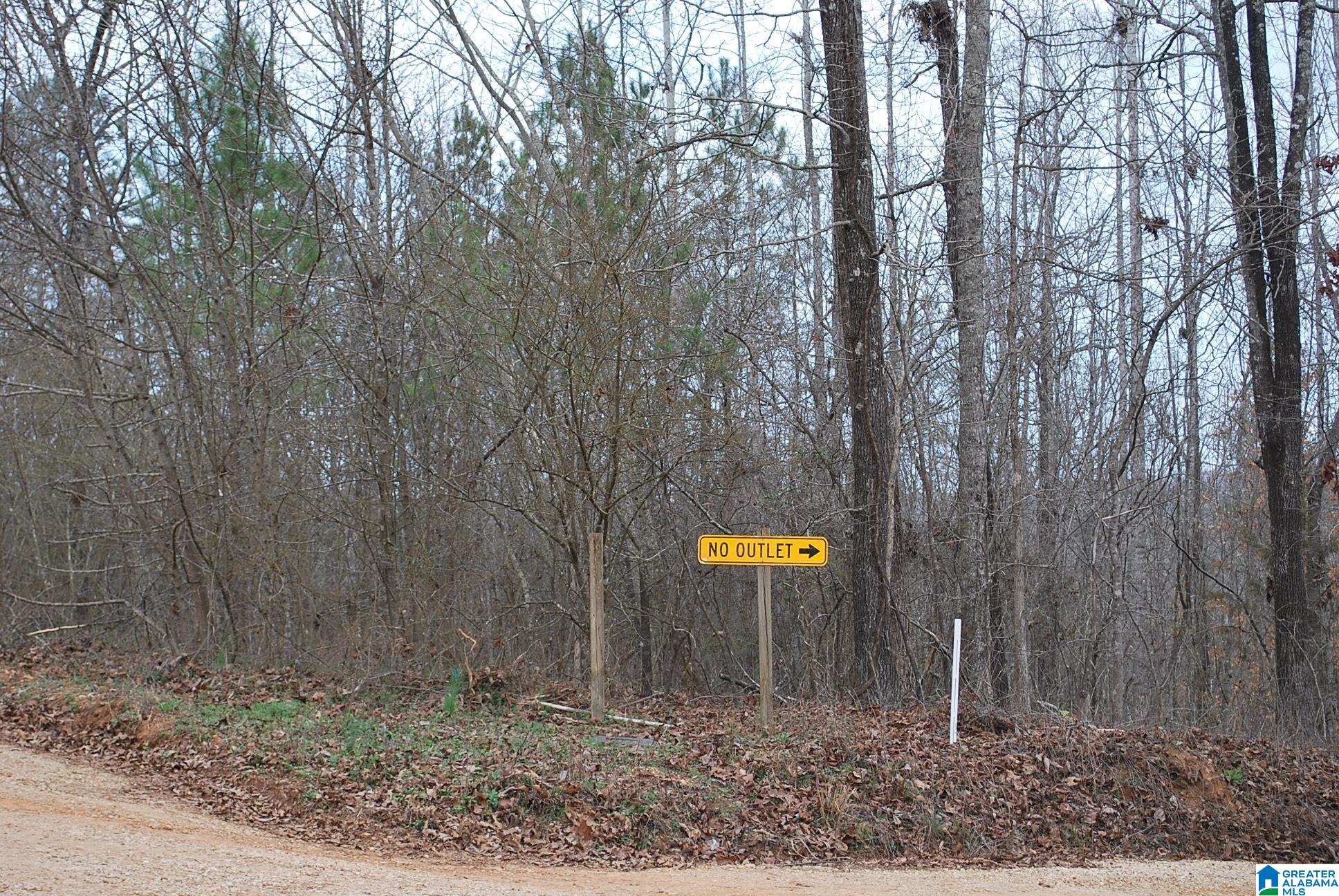 8023 County Road, Unit 8 Lineville, AL 36266 - Photo 4 of 21