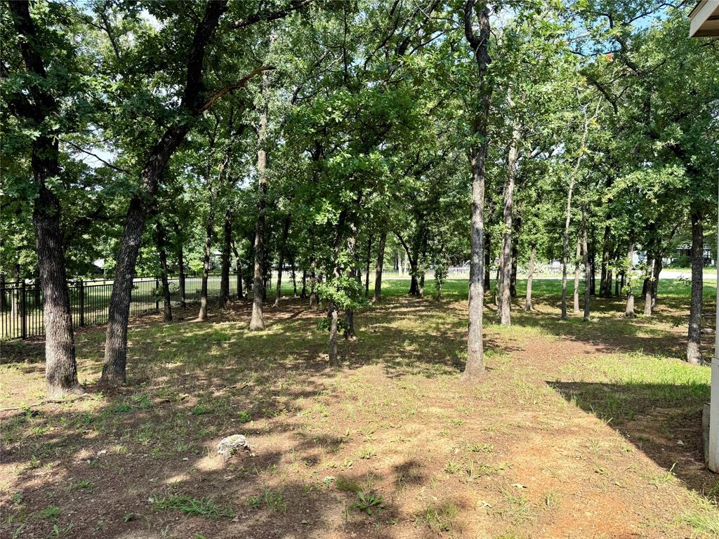 145 Adalida Lane Springtown, TX 76082 - Photo 29 of 29