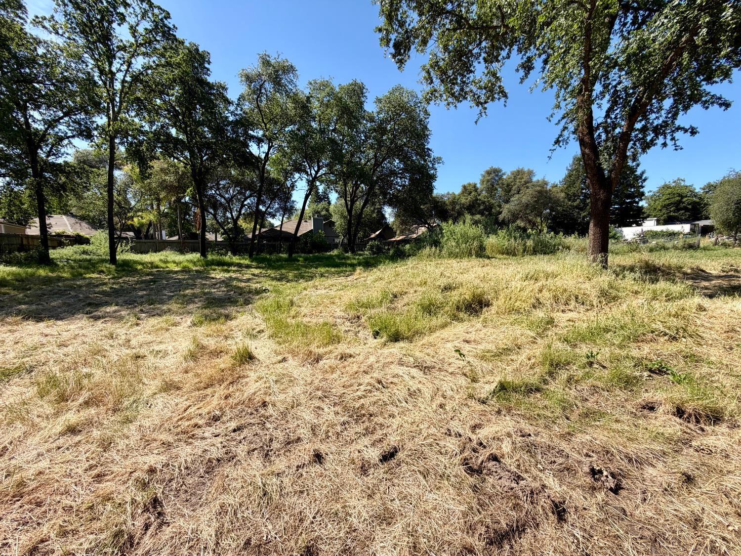 3437 Taylor Road Loomis, CA 95650 - Photo 8 of 27 Gallery Image 8