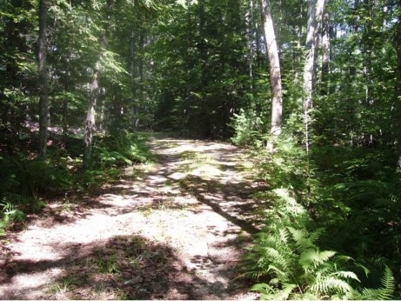 27 Long Point Road Moultonborough, NH 03254 - Photo 1 of 1