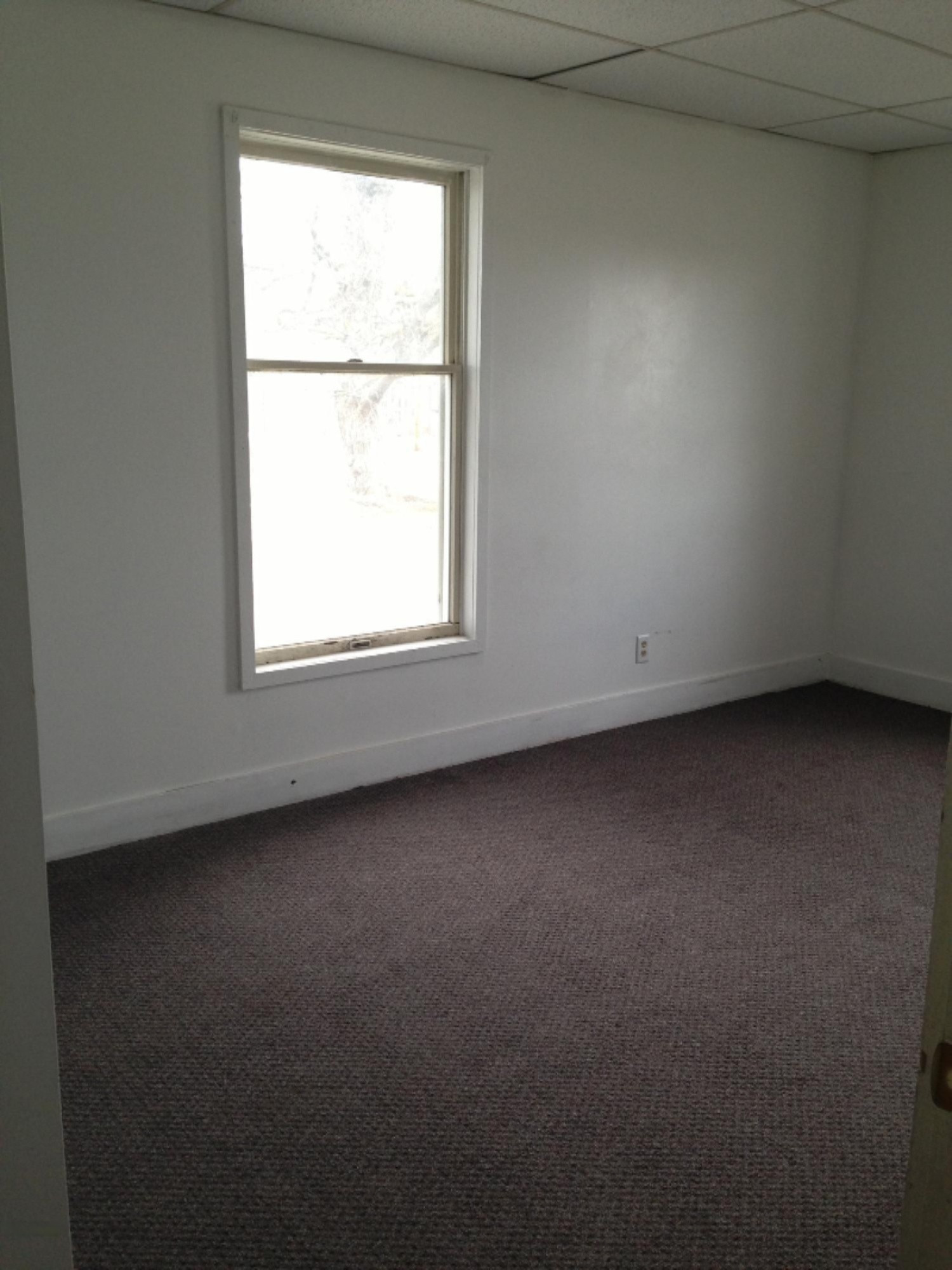 3509 Ostrum Road Belding, MI 48809 - Photo 8 of 13 002