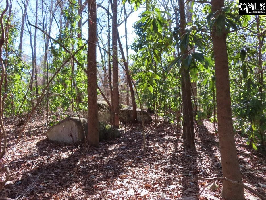 0 Rion Road Winnsboro, SC 29180 - Photo 23 of 42