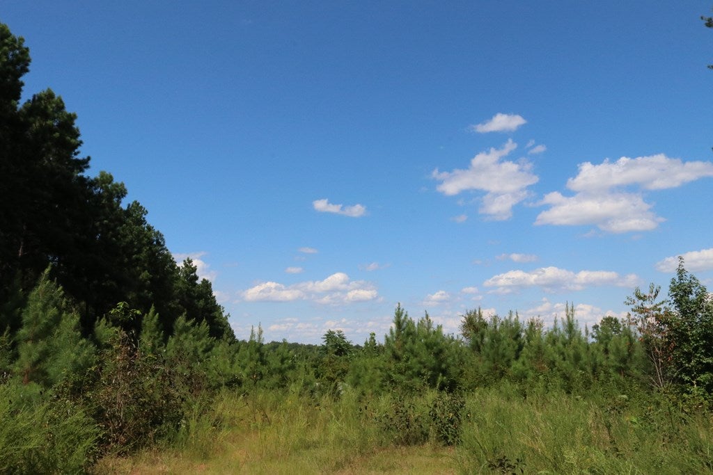 Davis Lowground Road Keysville, VA 23947 - Photo 6 of 8 Gallery Image 6