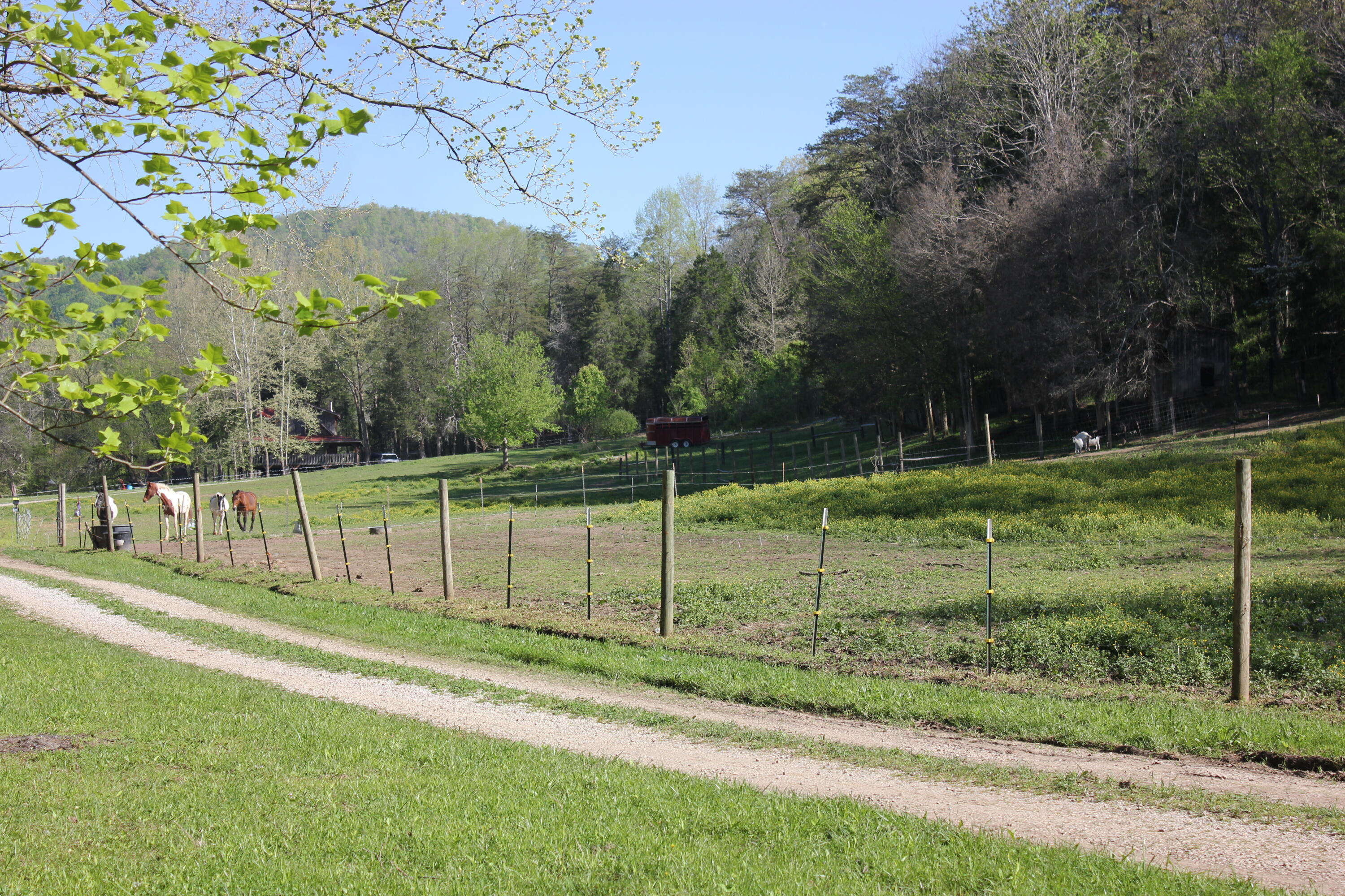 1339 Red Lick Road Berea, KY 40403 - Photo 15 of 40 IMG_0902