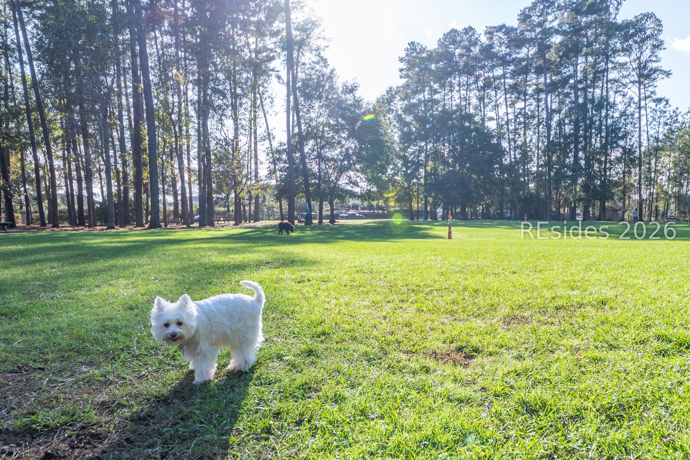 238 Colonel Thomas Heyward Road Bluffton, SC 29909 - Photo 73 of 75