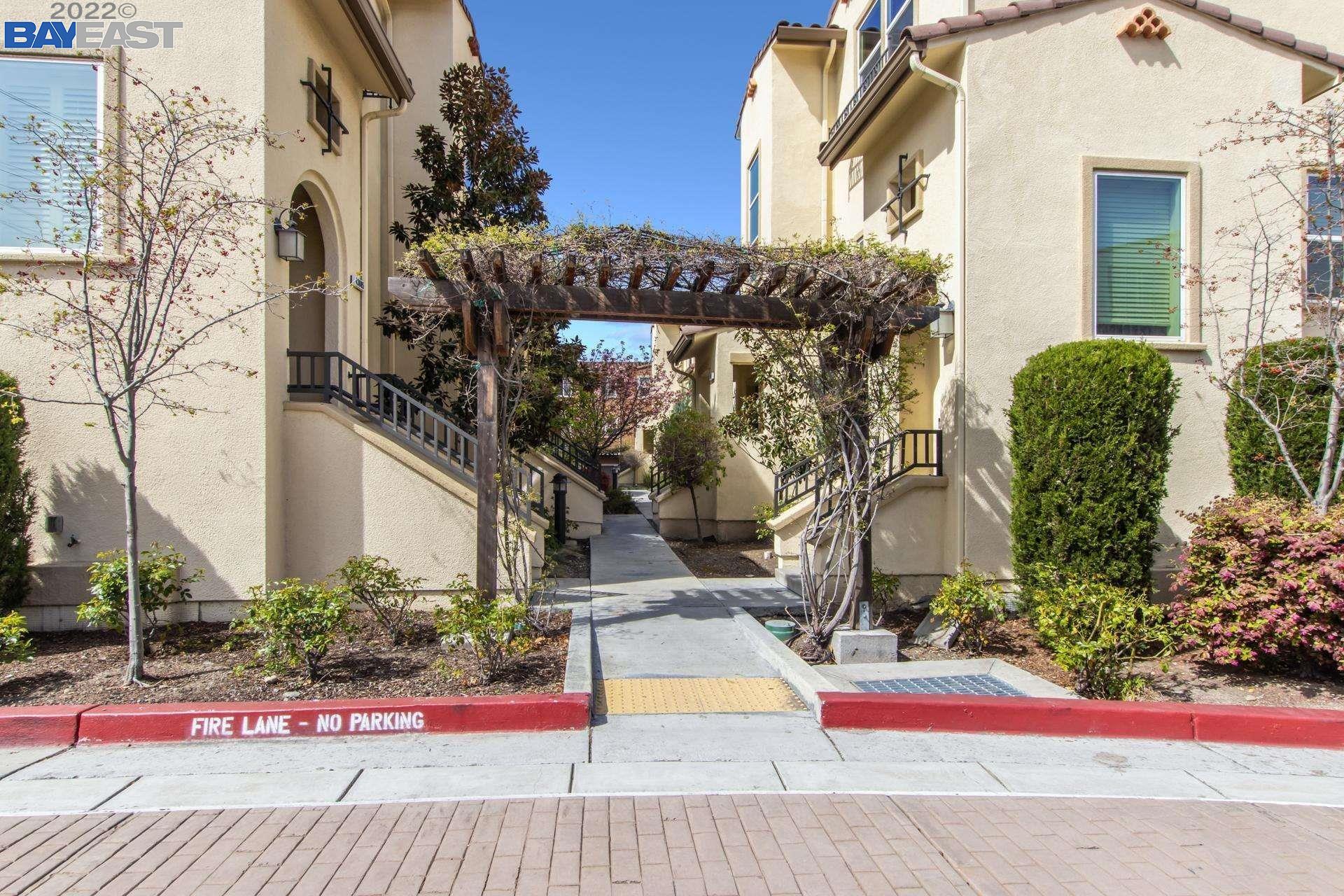 a view of flower garden