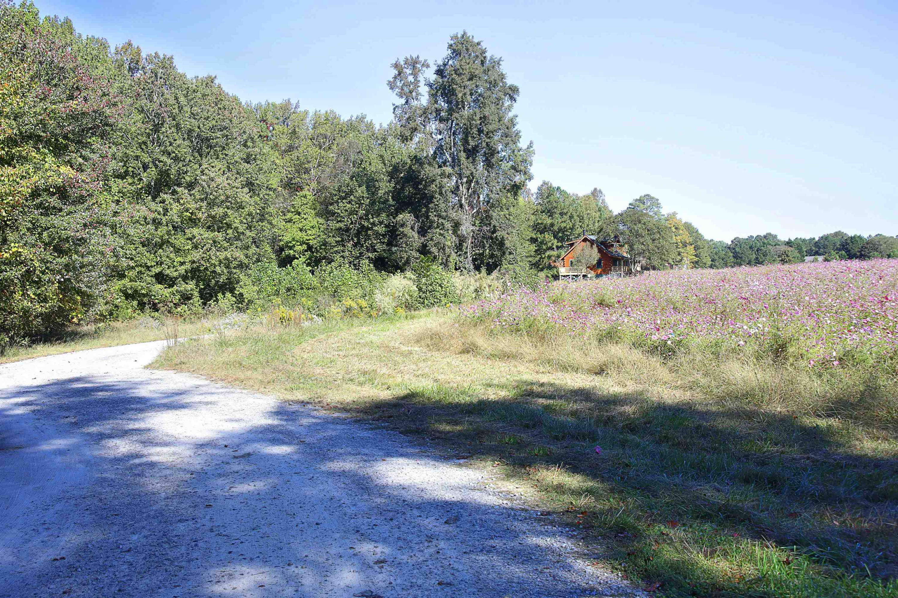 3928 Granny Farm Road Clayton, NC 27520 - Photo 8 of 62 Photo 8