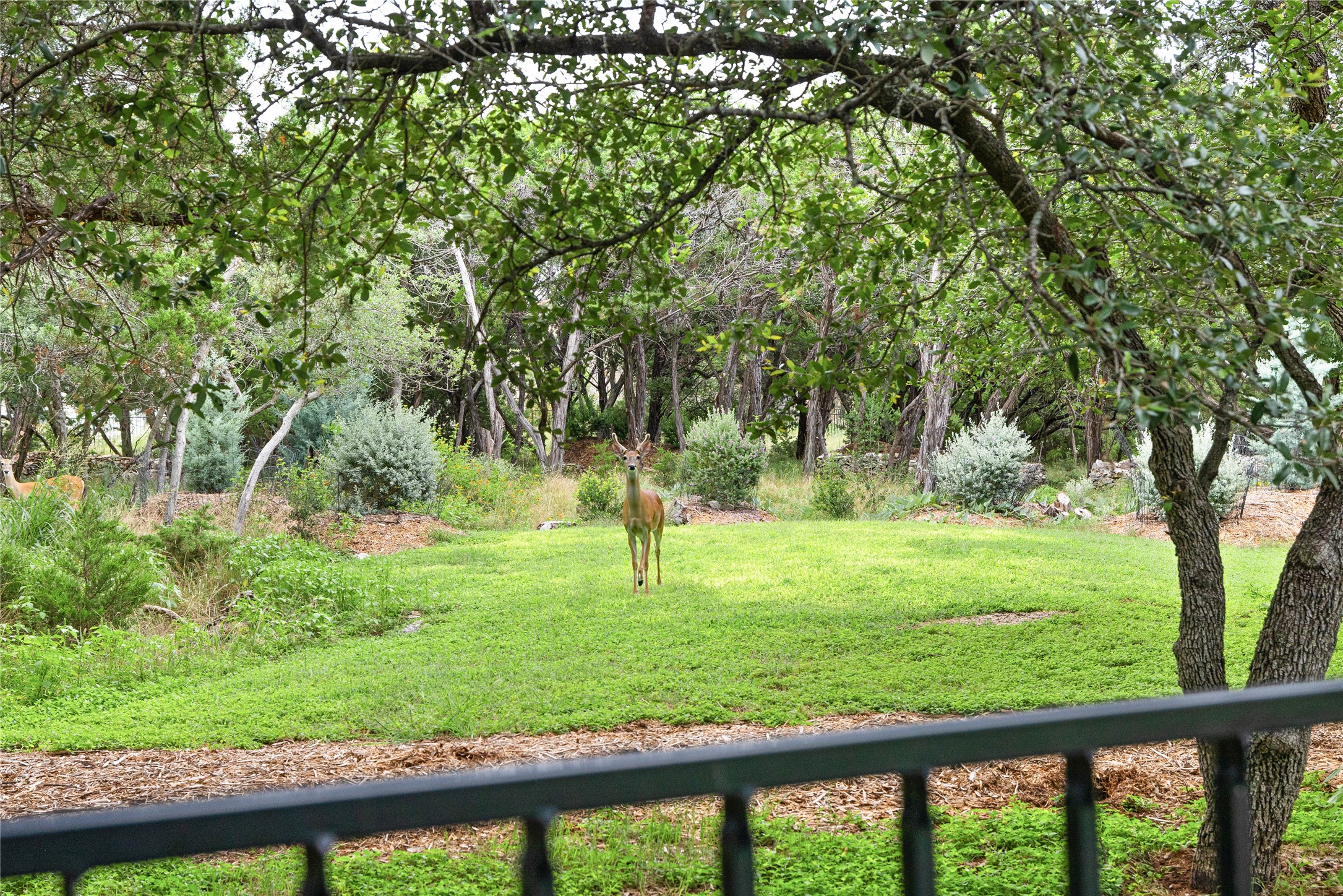 1403 Camelback Leander, TX 78641 - Photo 40 of 40
