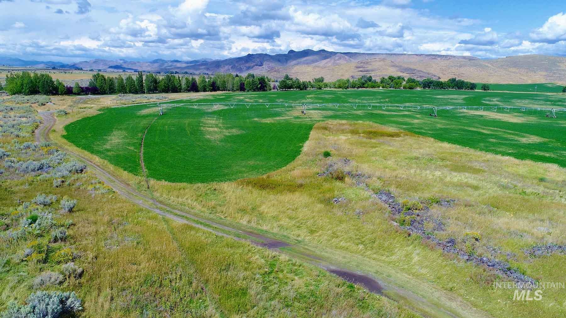 428 Cutoff Road Carey, ID 83320 - Photo 18 of 50