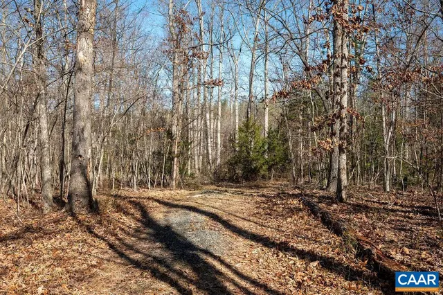 a view of a backyard with trees