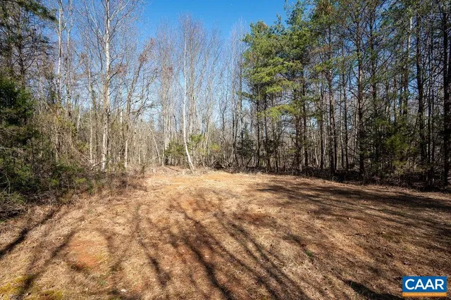 a view of backyard with trees