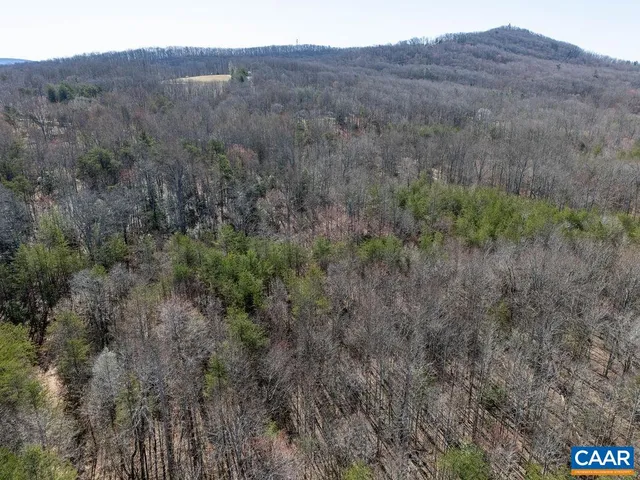 a view of a large mountain with trees in the background