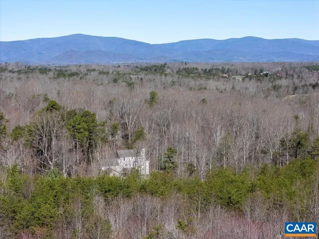 a view of a lush green field with lots of bushes