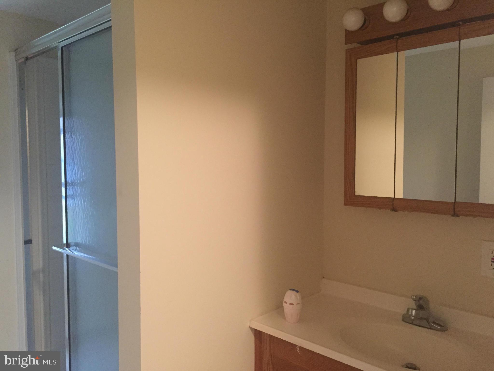 10516 Powell Road Thurmont, MD 21788 - Photo 25 of 30 Bath (Master)