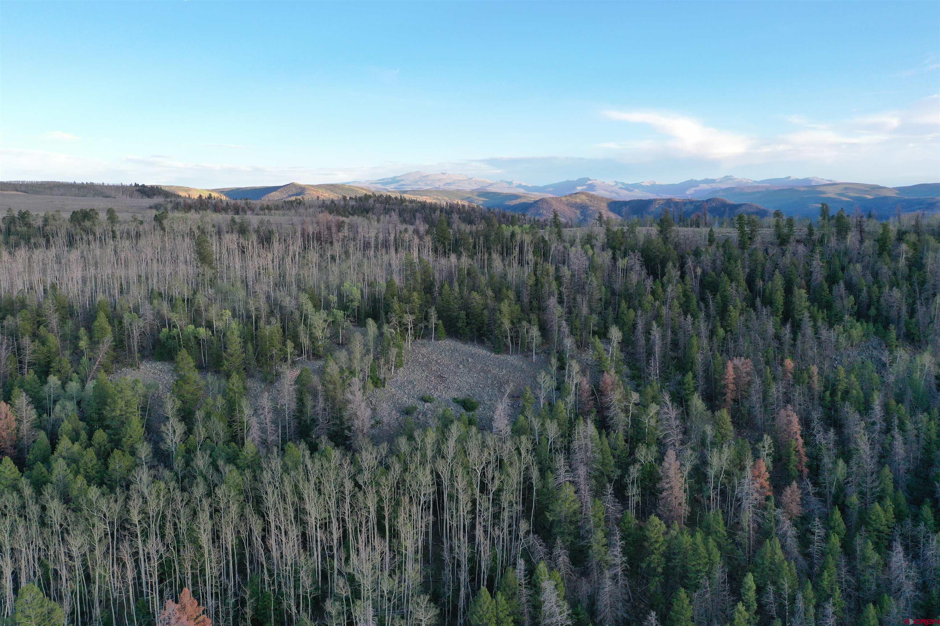149 Rd Powderhorn Co 81230 Road Powderhorn, CO 81243 - Photo 17 of 40 Gallery Image 17