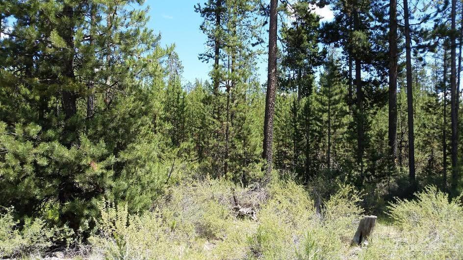 0 Homestead Way Bend, OR 97707 - Photo 1 of 5 Primary Photo
