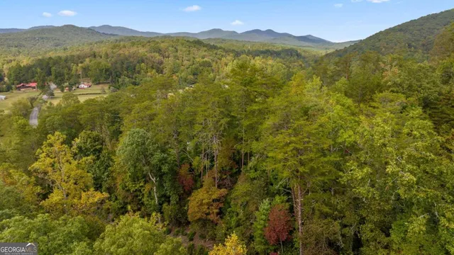 a view of a mountain range with lush green forest