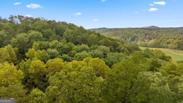 a view of a town with mountains in the background