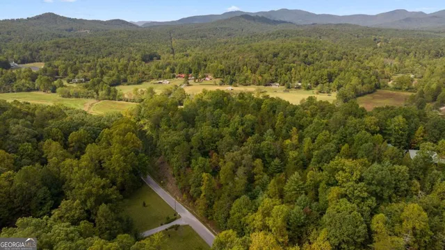 a view of a lush green hillside and houses