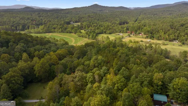 a view of a lush green hillside and houses