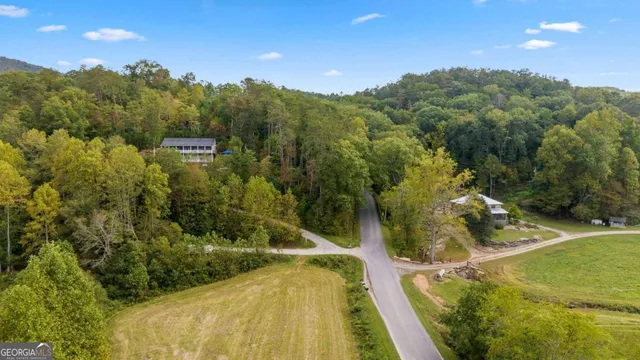 a view of a mountain range with lush green forest