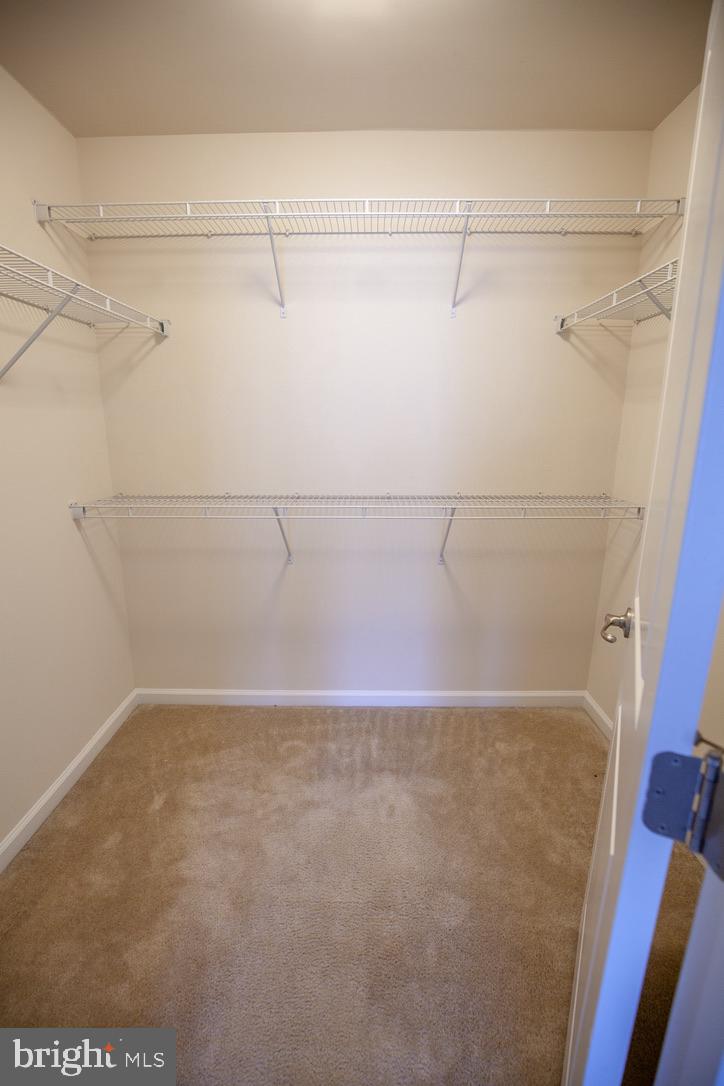 139 Gauley Riv Path Falling Waters, WV 25419 - Photo 19 of 43 Master Bedroom Closet