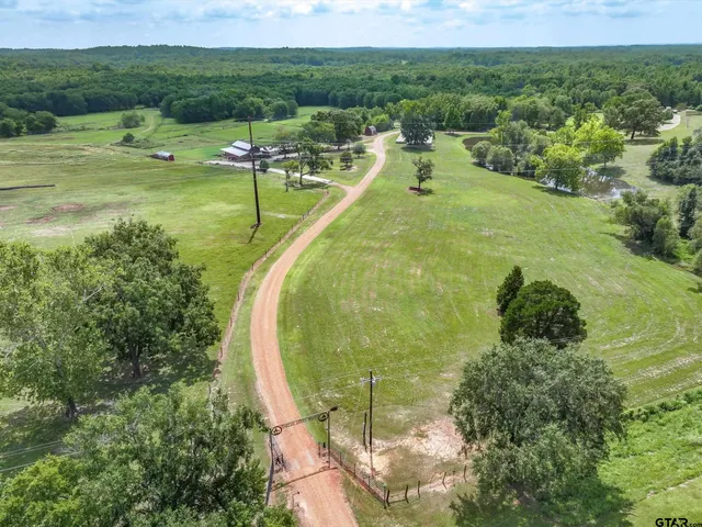 a view of a park with large trees