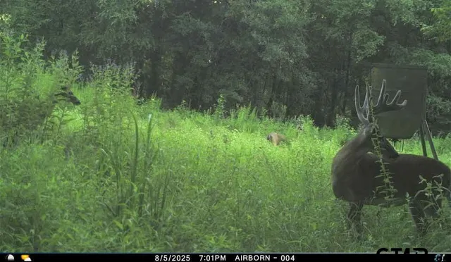 $3,975,000 | 5282 Highway 37, Winnsboro, TX 75494