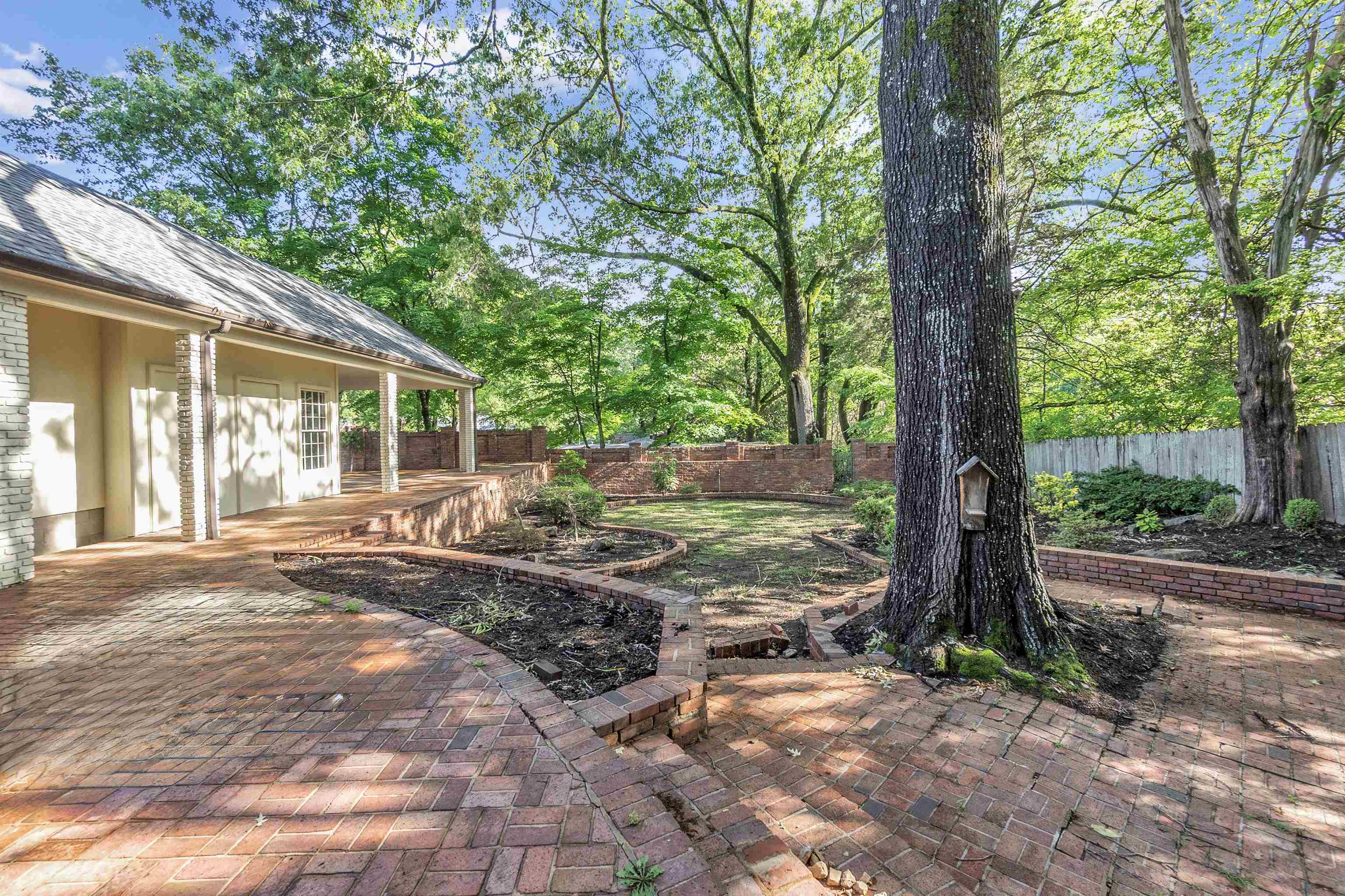 5385 Walnut Grove Road Memphis, TN 38120 - Photo 39 of 39 a view of a yard with plants and large trees