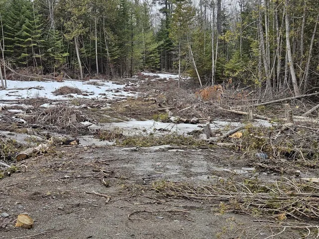 $55,000 | M1-l36-3 Main Street, Palmyra, ME 04965