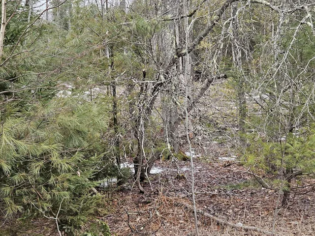 $55,000 | M1-l36-3 Main Street, Palmyra, ME 04965