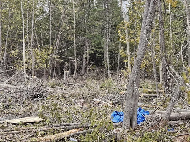 $55,000 | M1-l36-3 Main Street, Palmyra, ME 04965