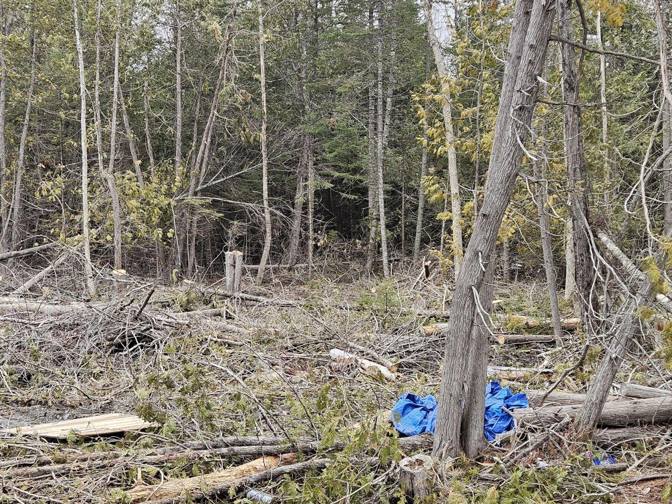 M1-l36-3 Main Street Palmyra, ME 04965 - Photo 12 of 14 20250316_115206