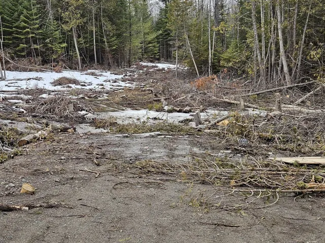 $55,000 | M1-l36-3 Main Street, Palmyra, ME 04965