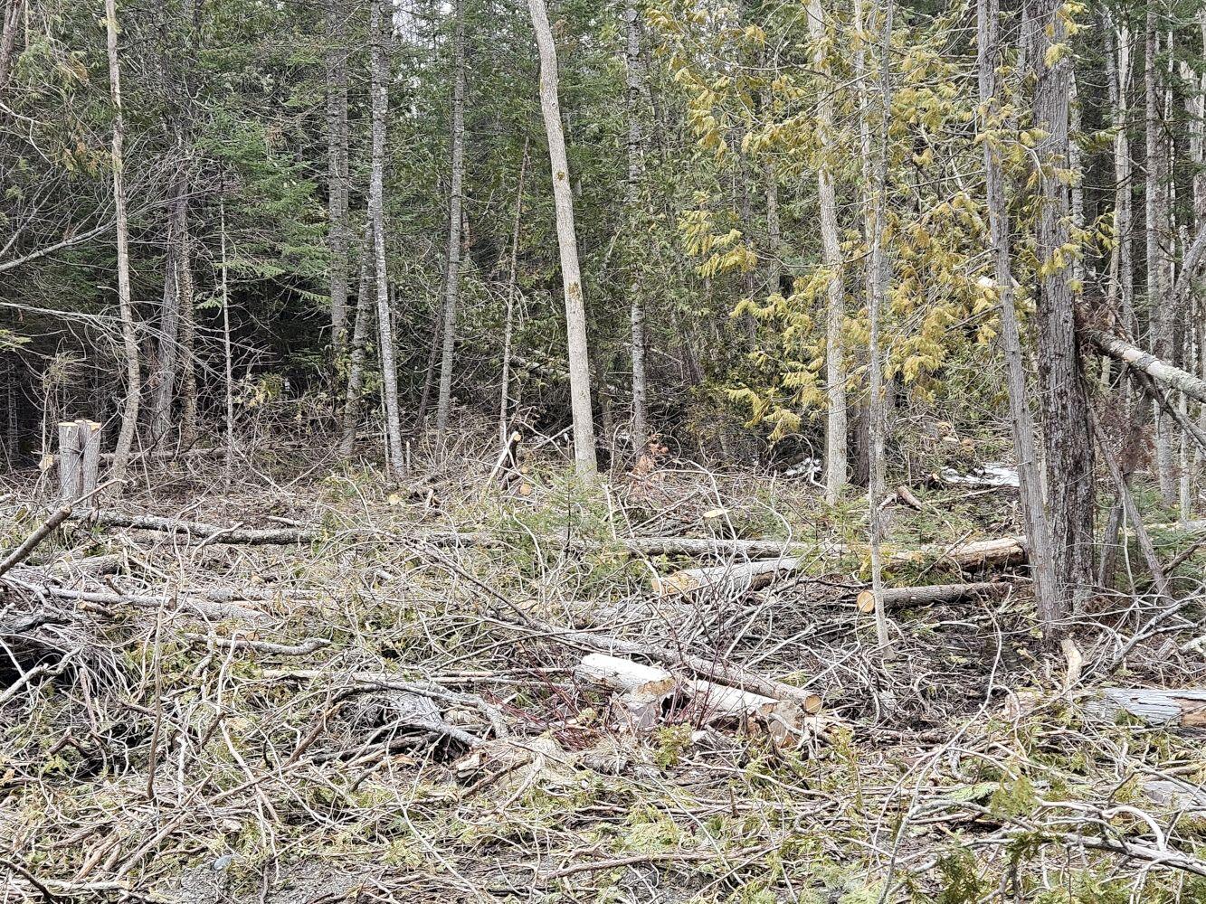 M1-l36-3 Main Street Palmyra, ME 04965 - Photo 14 of 14 20250316_115231