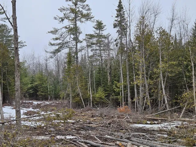 $55,000 | M1-l36-3 Main Street, Palmyra, ME 04965