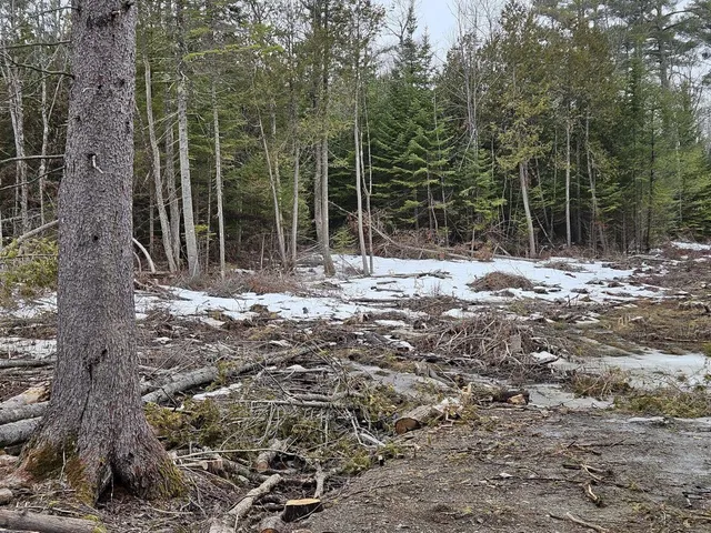 $55,000 | M1-l36-3 Main Street, Palmyra, ME 04965