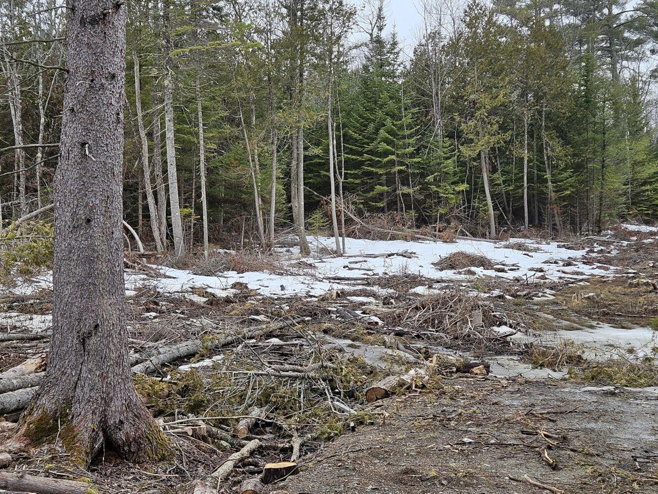 M1-l36-3 Main Street Palmyra, ME 04965 - Photo 3 of 14 20250316_115201