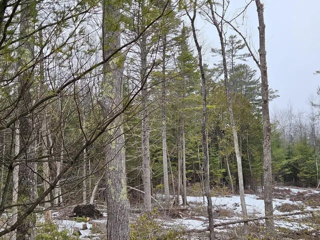 $55,000 | M1-l36-3 Main Street, Palmyra, ME 04965