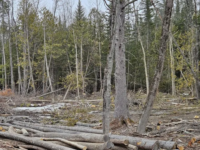 $55,000 | M1-l36-3 Main Street, Palmyra, ME 04965