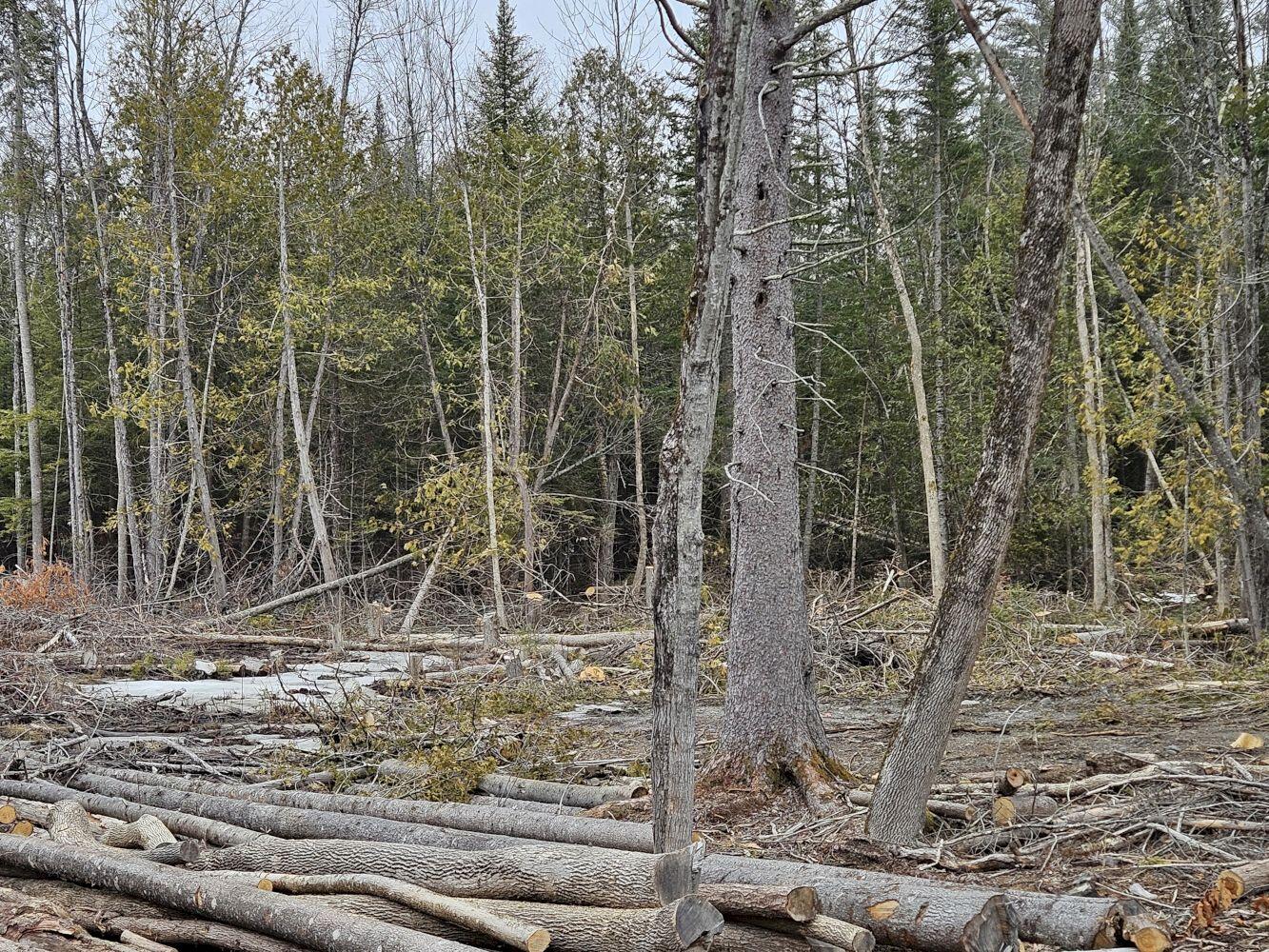 M1-l36-3 Main Street Palmyra, ME 04965 - Photo 5 of 14 20250316_115128