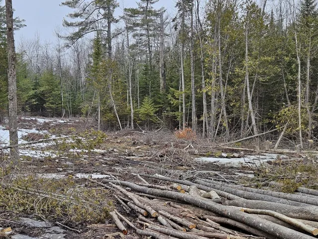 $55,000 | M1-l36-3 Main Street, Palmyra, ME 04965