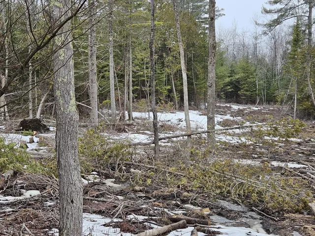 $55,000 | M1-l36-3 Main Street, Palmyra, ME 04965