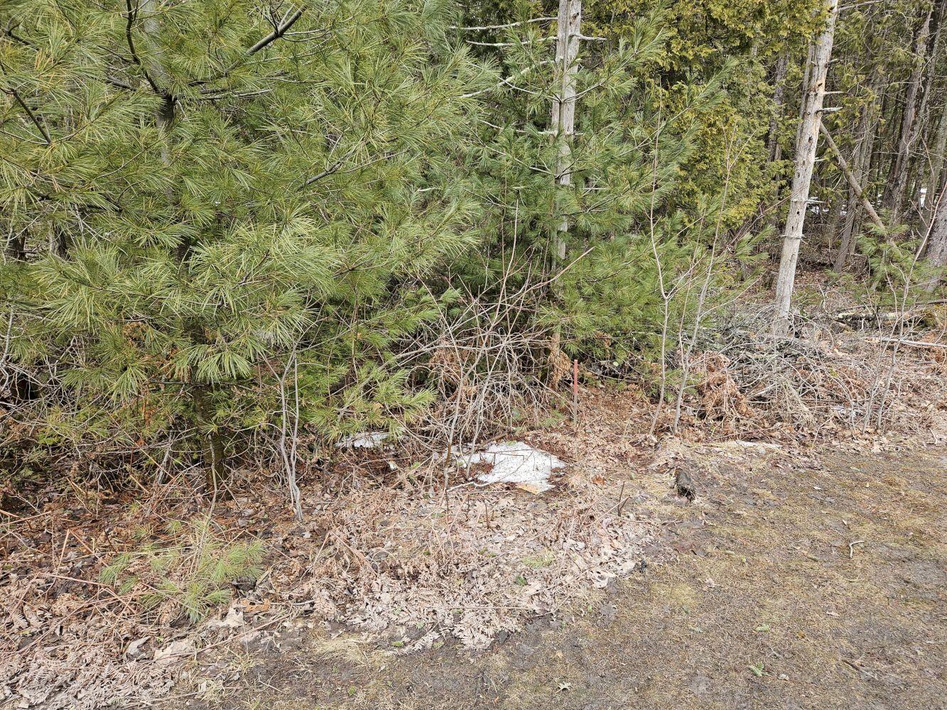 M1-l36-3 Main Street Palmyra, ME 04965 - Photo 8 of 14 20250316_114925