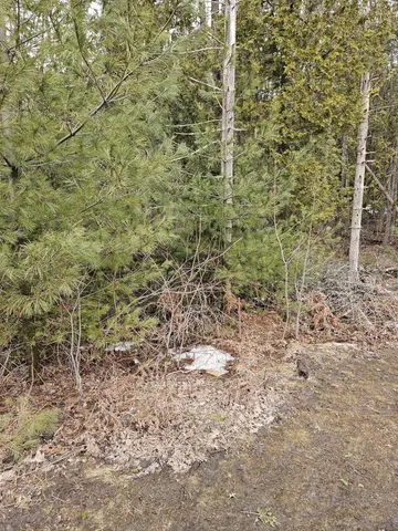 $55,000 | M1-l36-3 Main Street, Palmyra, ME 04965