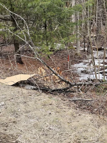 $55,000 | M1-l36-3 Main Street, Palmyra, ME 04965