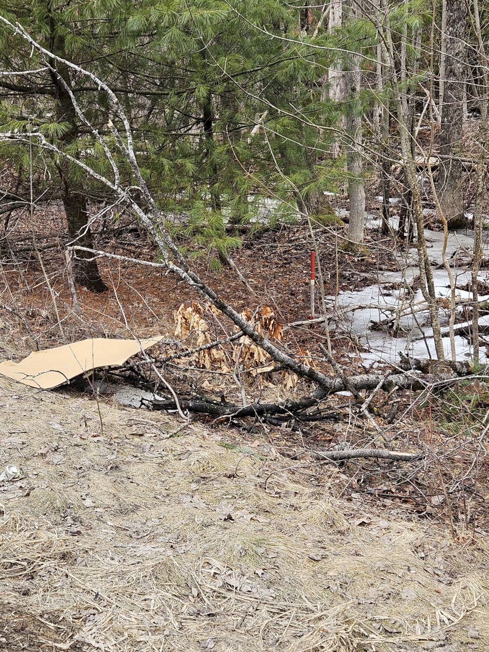 M1-l36-3 Main Street Palmyra, ME 04965 - Photo 10 of 14 20250316_115050