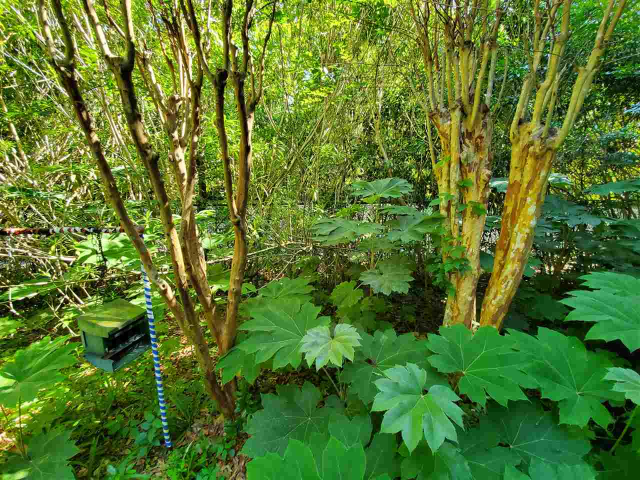 2247 Armistead Road Tallahassee, FL 32308 - Photo 3 of 34 Gallery Image 3